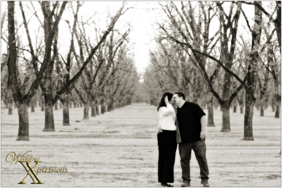 Wedding Xpressions