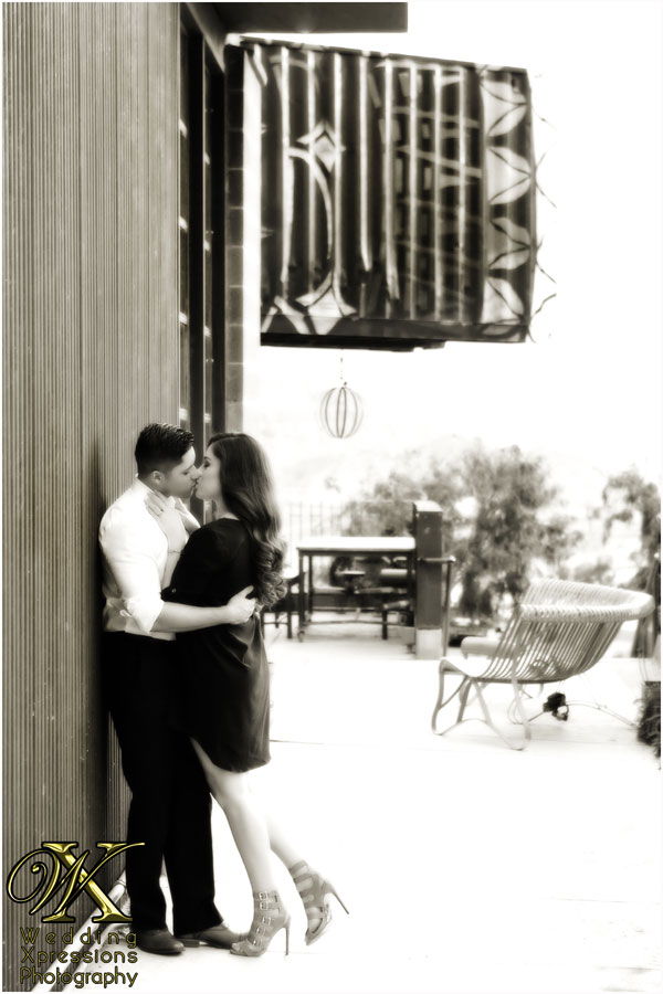 Chihuahuas_Engagement_22