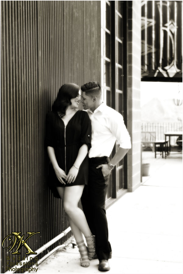 Chihuahuas_Engagement_23