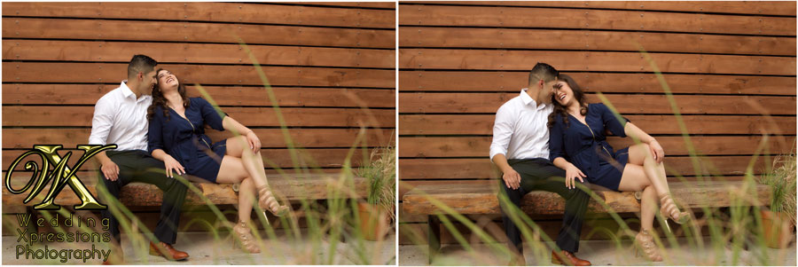 Chihuahuas_Engagement_25