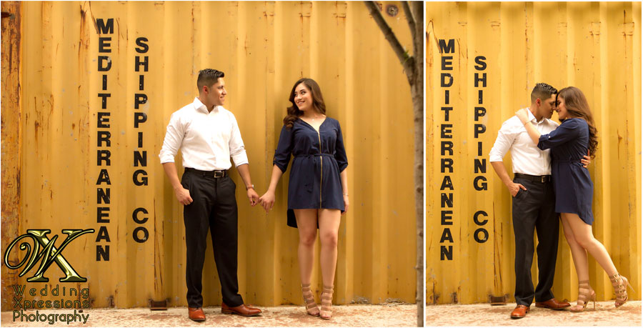 Chihuahuas_Engagement_26