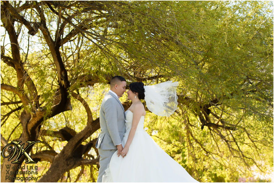el-paso-photographer-09