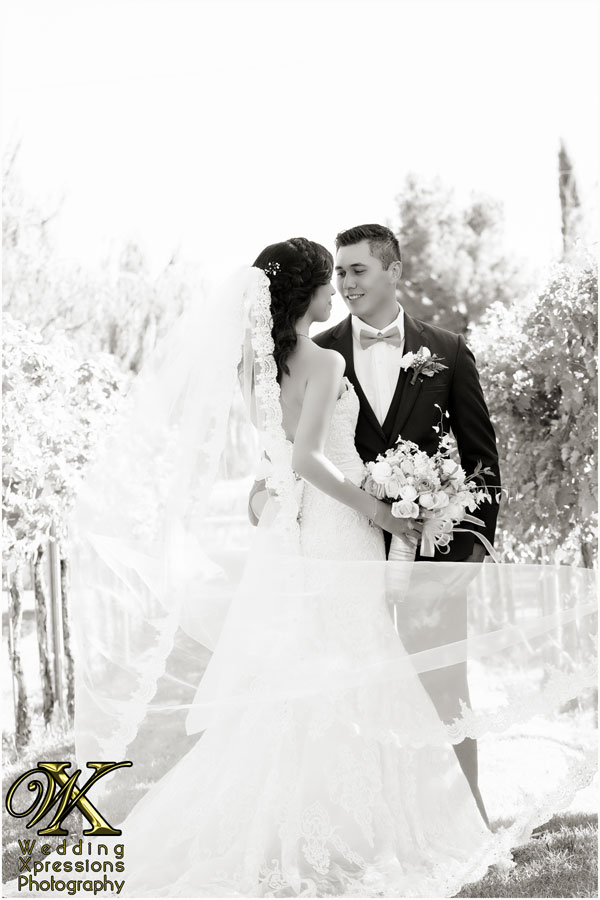 El Paso wedding photographers Wedding Xpressions Photography
