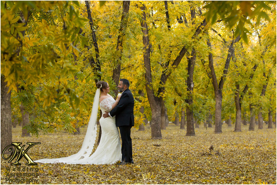 Wedding Xpressions Photography
