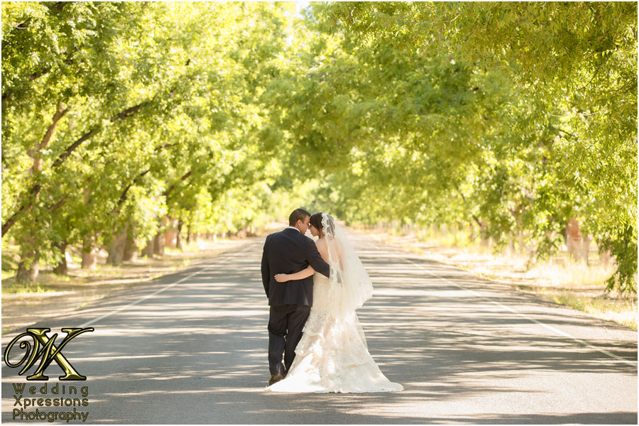 Wedding Xpressions Photography
