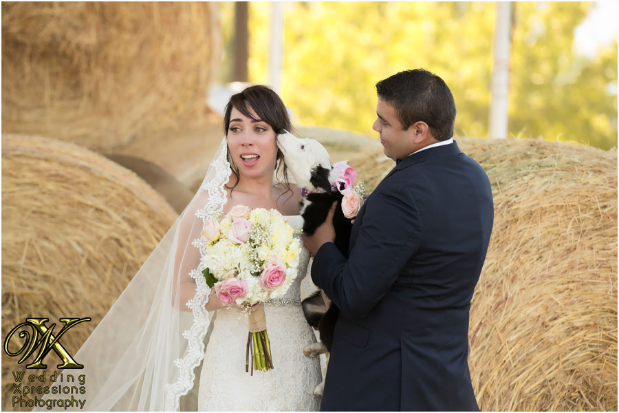 puppy love during El Paso ranch wedding.