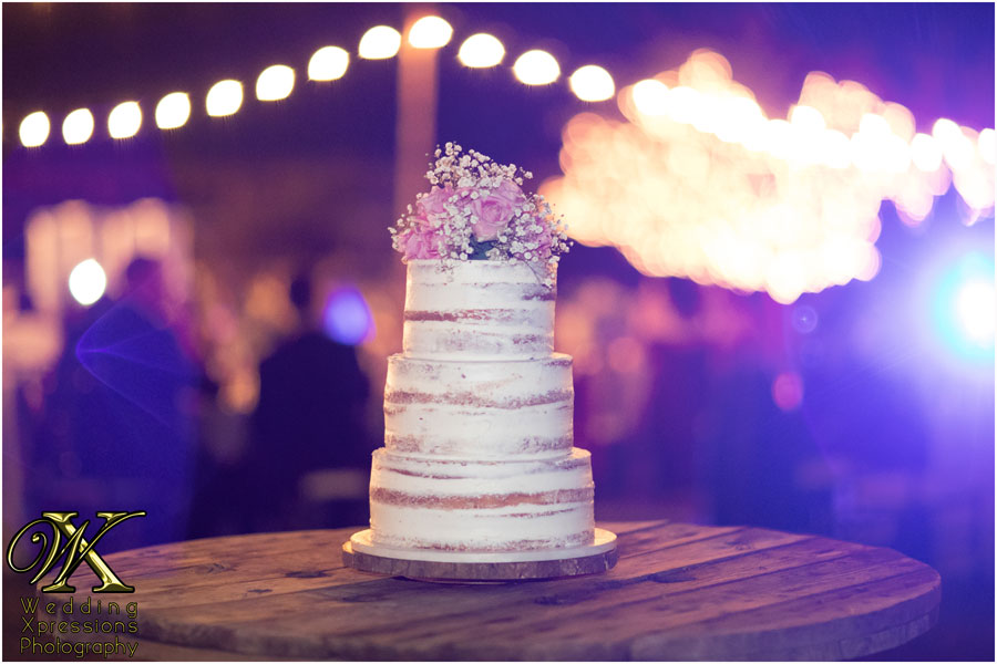 rustic nude wedding cake at backyard wedding