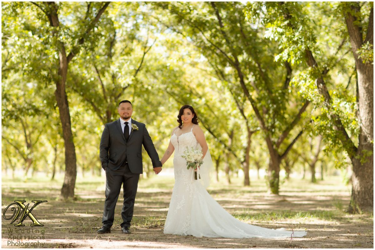 Christian and Melissa walking through the rows of a pecan orchard in golden light.
