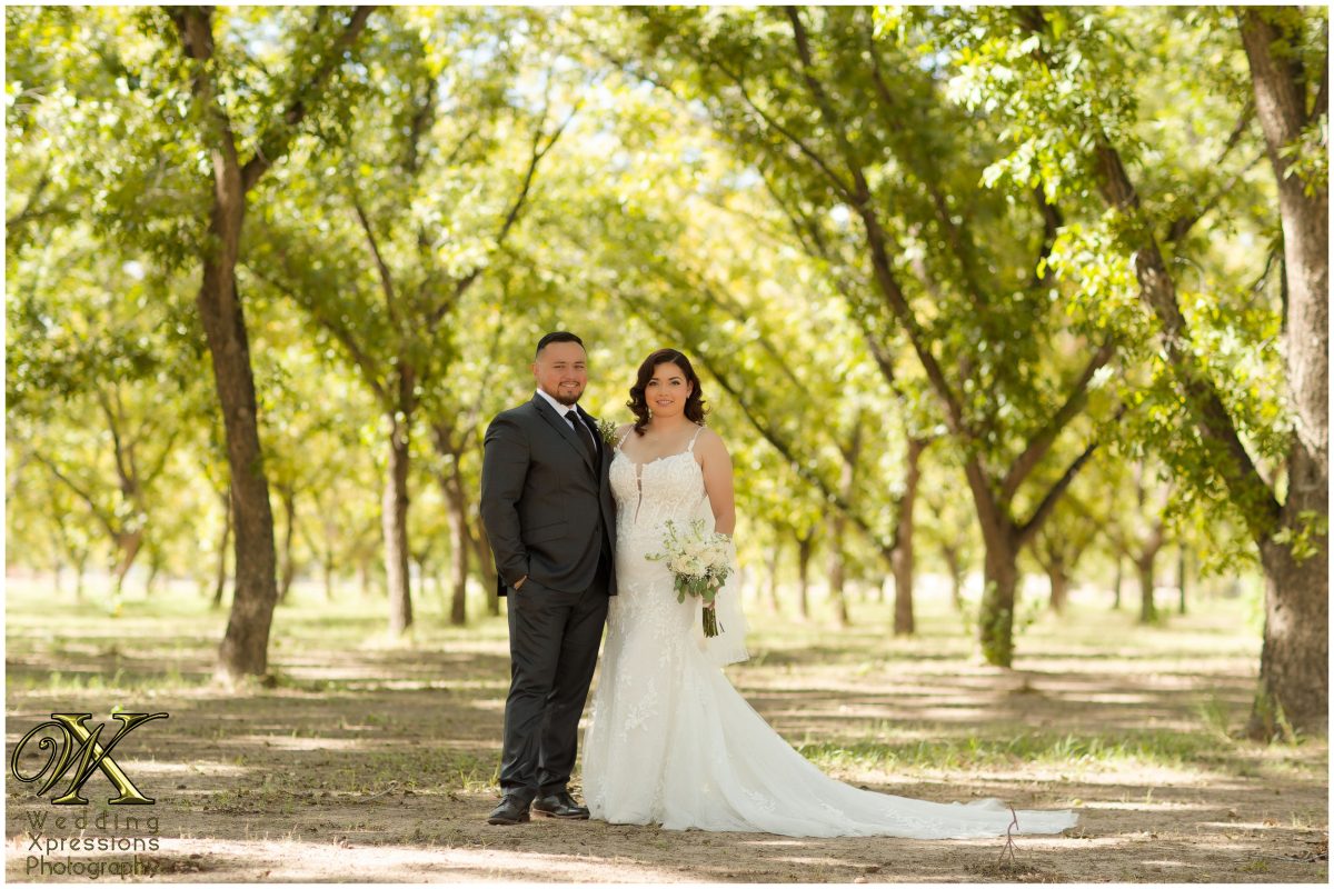 Wide-angle portrait of the couple in the orchard, showcasing the majestic landscape.