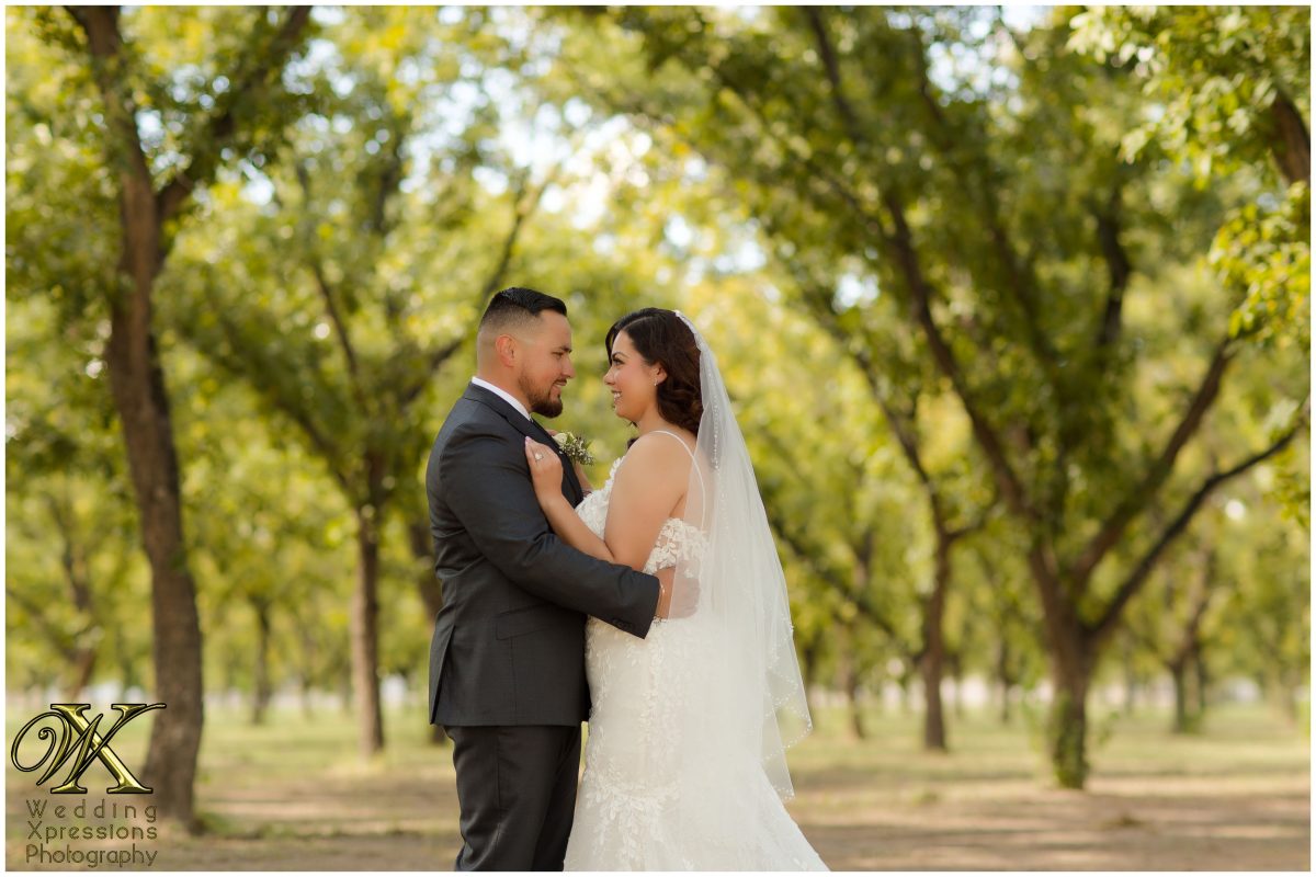 Artistic curation of the couple's embrace under the canopy of pecan trees.