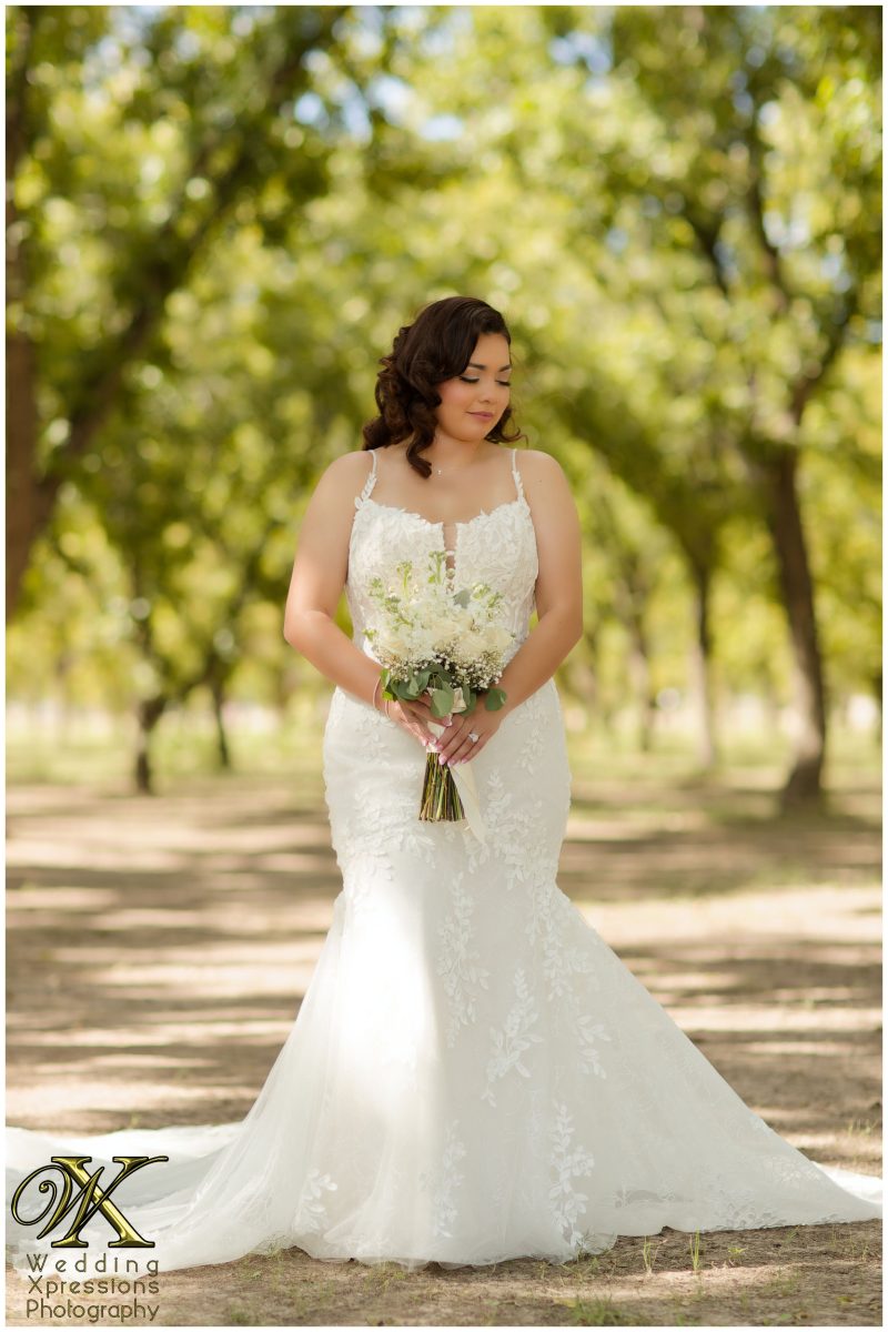 The bride looking back over her shoulder, a timeless and cinematic image.
