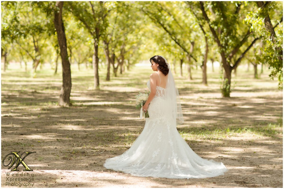 Melissa walking gracefully through the orchard, her gown trailing behind her.