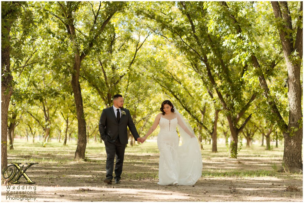 Wide landscape shot of the couple in the orchard, capturing the essence of the Southwest.